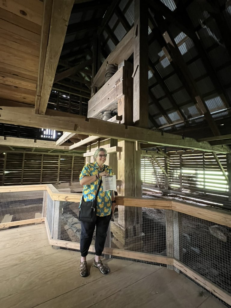 Carolyn Dougherty tweet media