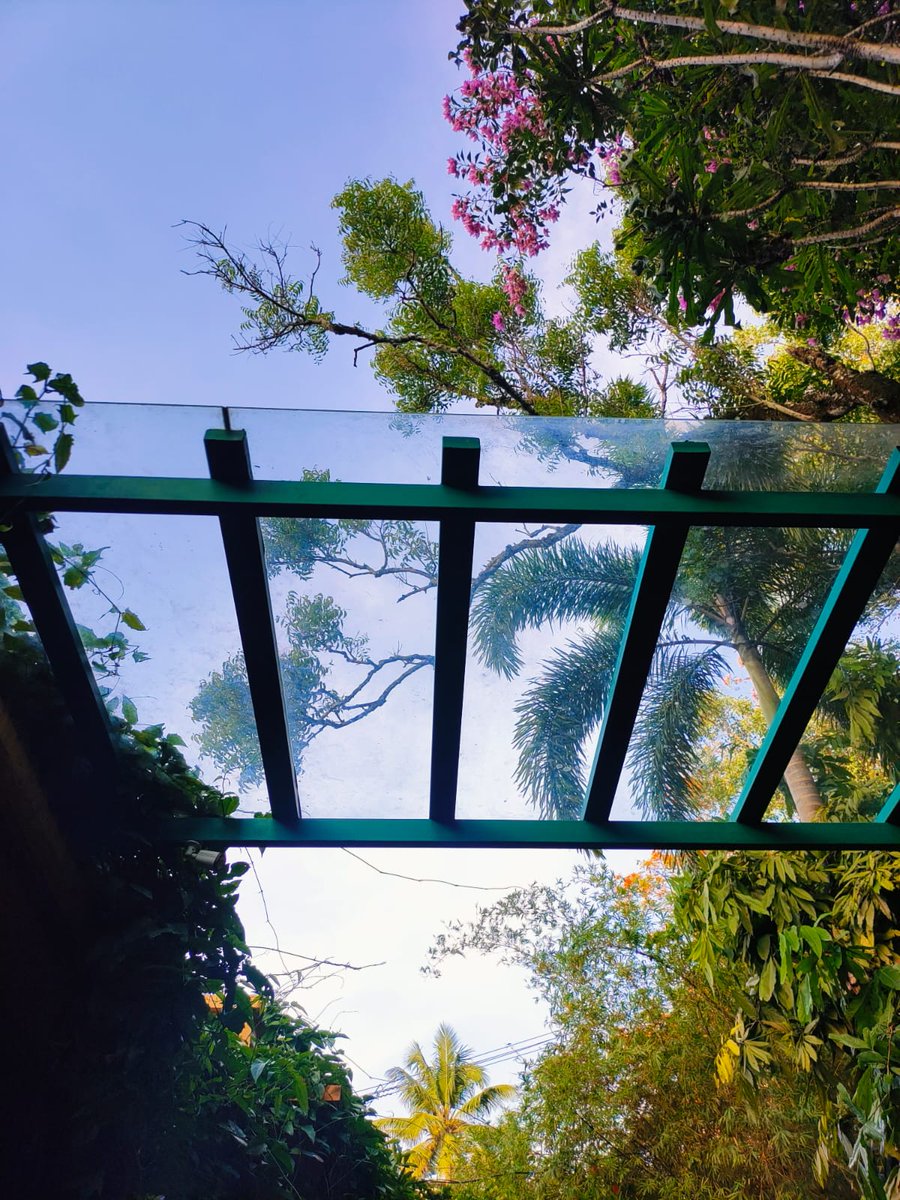 Just another fine day
#nature #flowers #green #glassroof
#morning