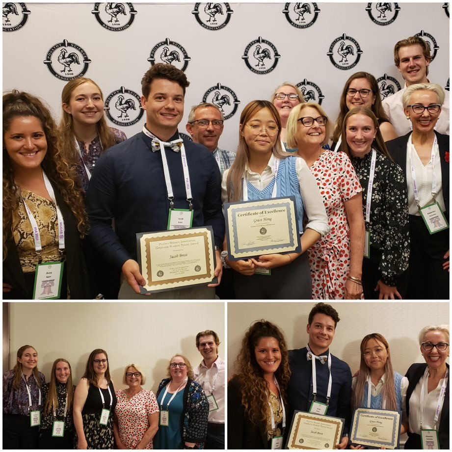 Campbell Centre for the Study of Animal Welfare tweet media