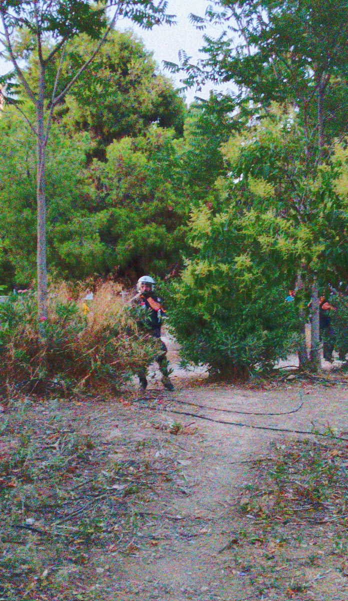 adeksios's tweet photo. #antireport #Δρακοπουλο  κόβουν δέντρα και φυτεύουν μπατσους https://t.co/HYywhTuh7Q
