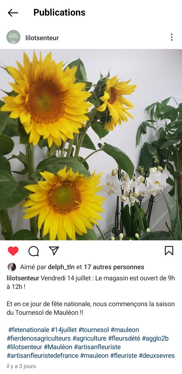 garsdherault's tweet photo. Cette année j'ai mis en libre service une jachère fleurie pour la fleuriste locale. C'est ça aussi la communication positive ! @Fragritwittos https://t.co/ddTjAGl4wT