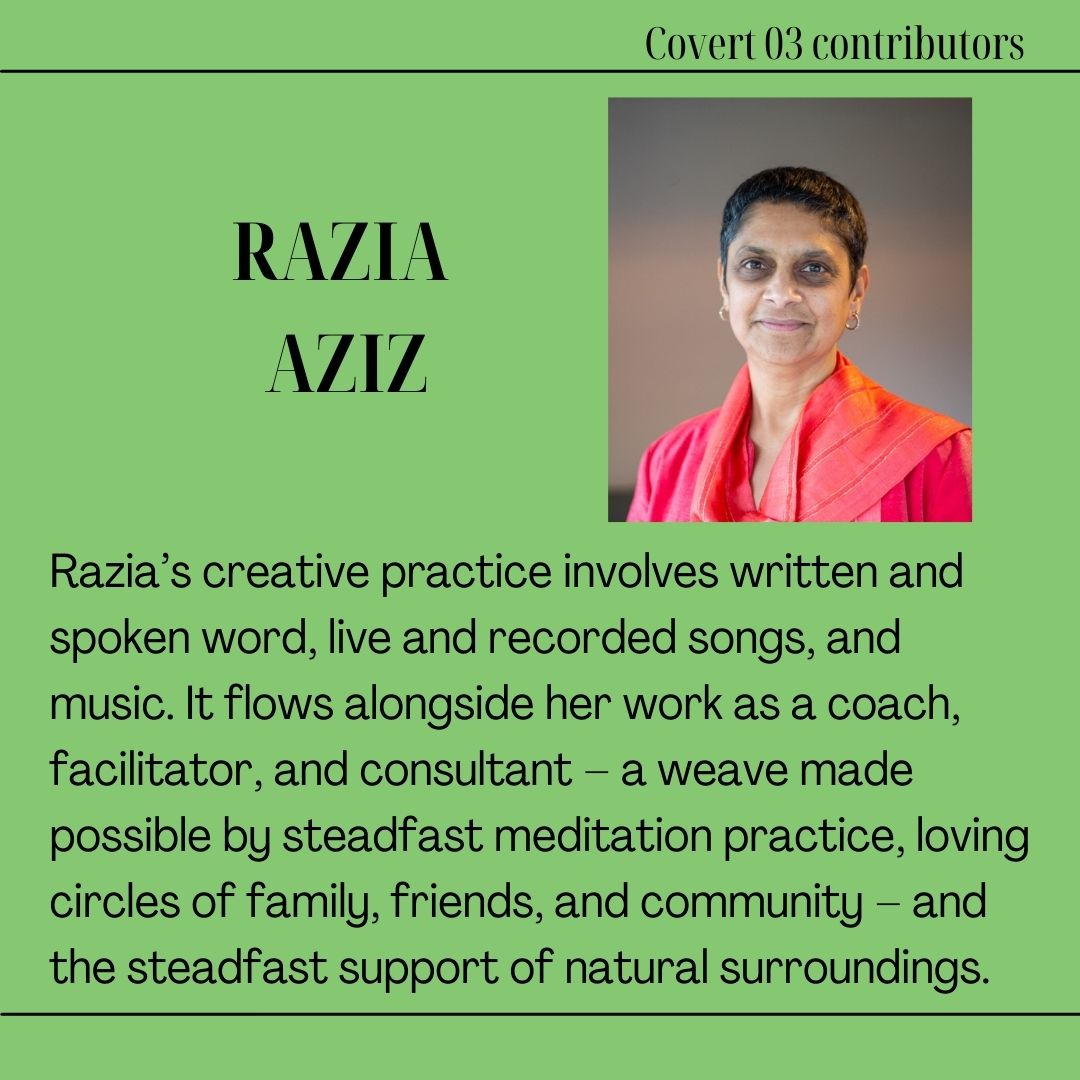 BHwritinglegacy's tweet photo. Meet Razia Aziz #Covert03 https://t.co/TUaxbiHPBy