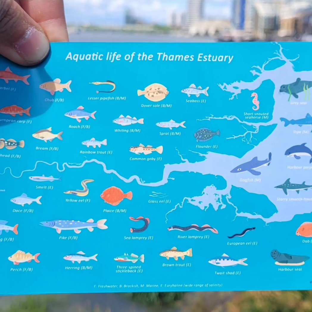 Wanda Bodnar tweet media