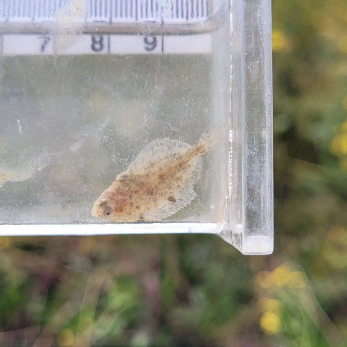 Wanda Bodnar tweet media