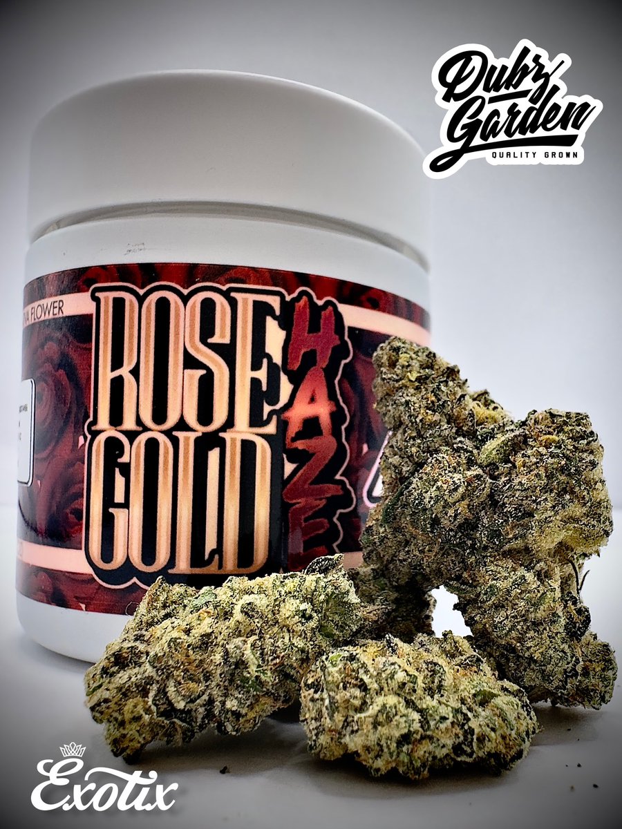 ExotixHollywood's tweet photo. Rose Gold Haze🌹 by @dubz_garden BEST Sativa around🤤🌹 In-Store NOW!! https://t.co/LtnCaqksgh