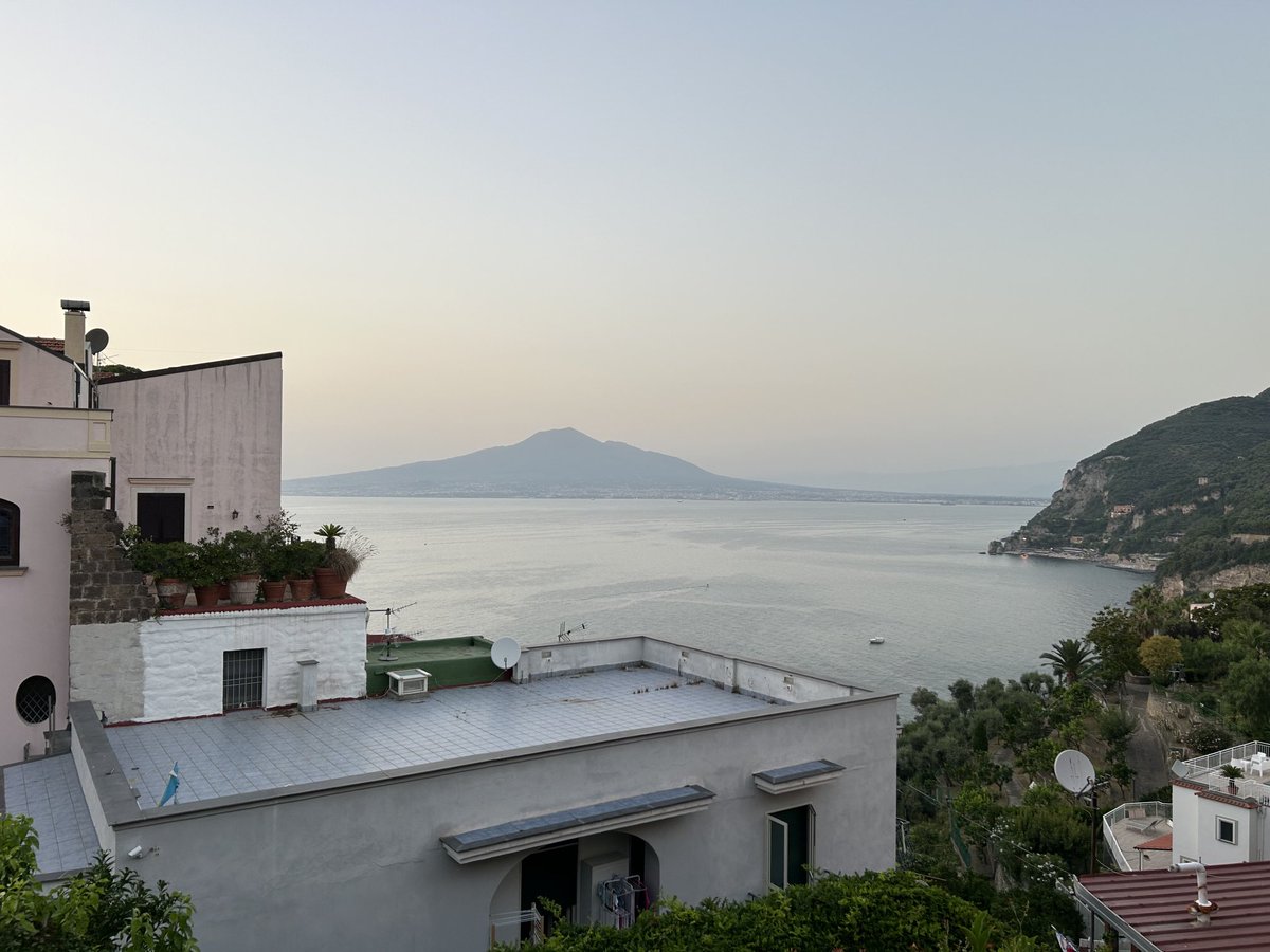 RHS Classics tweet media