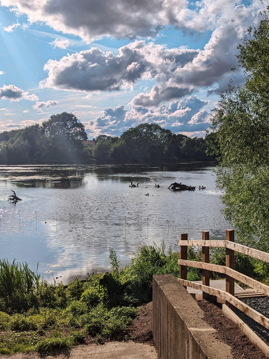 John (@nemoflexi) on Twitter photo 