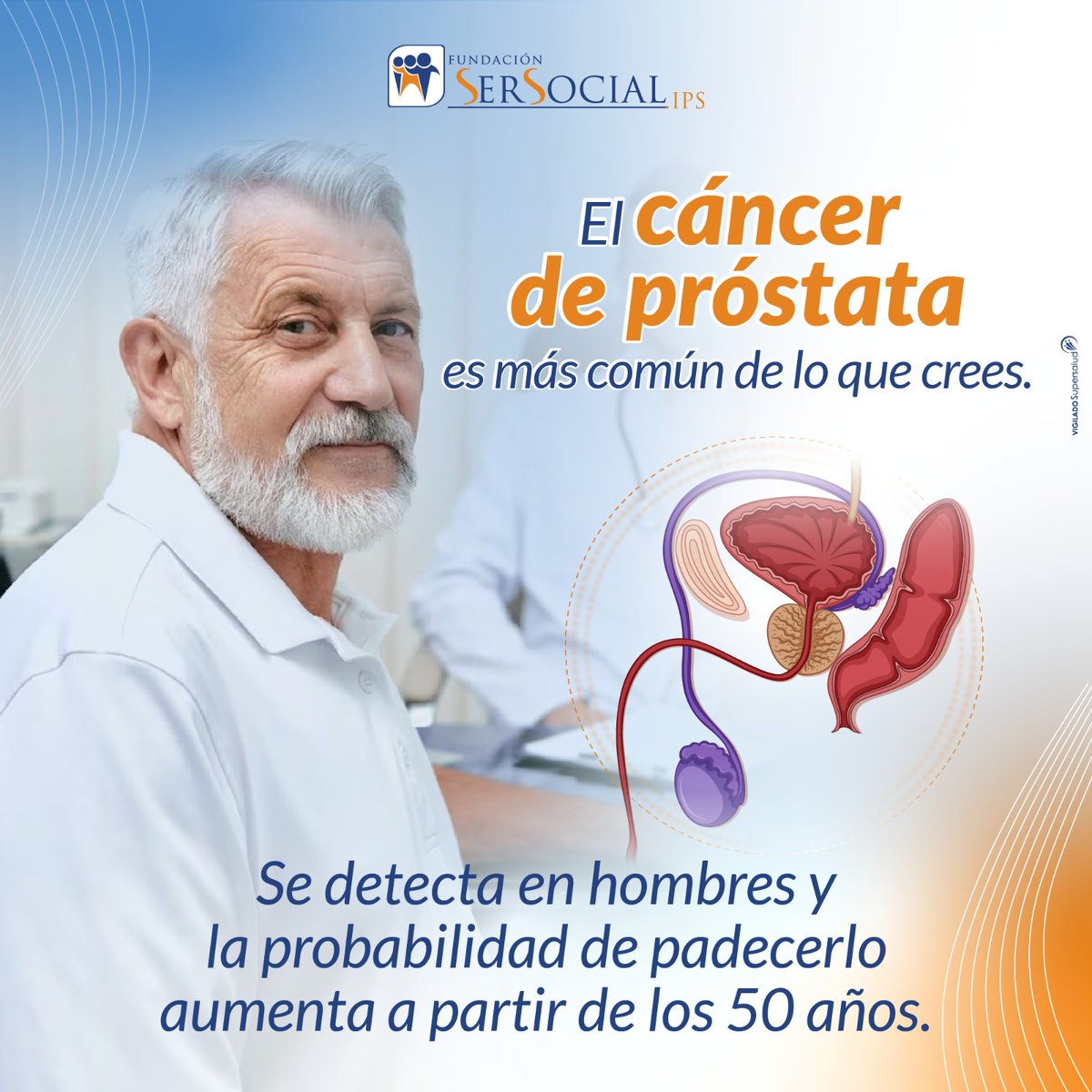 Fundación SERSOCIAL IPS tweet media