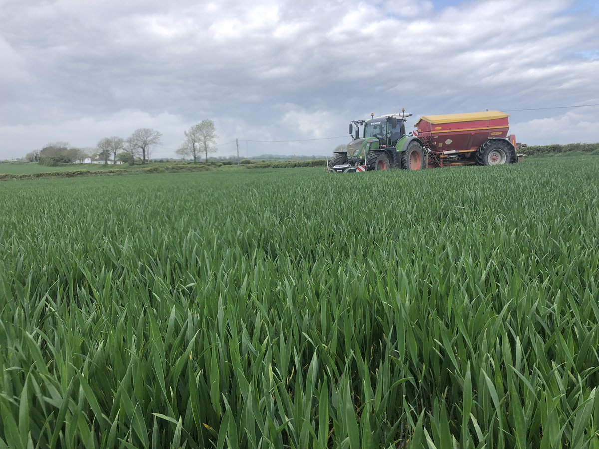 BurkeAndyburke's tweet image. N sensor seems to have worked nicely here with no lodging so far.