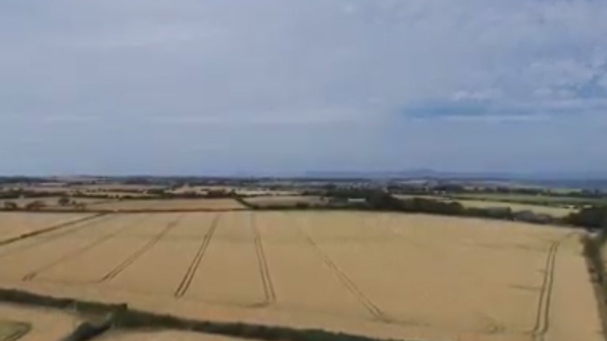 BurkeAndyburke's tweet image. N sensor seems to have worked nicely here with no lodging so far.