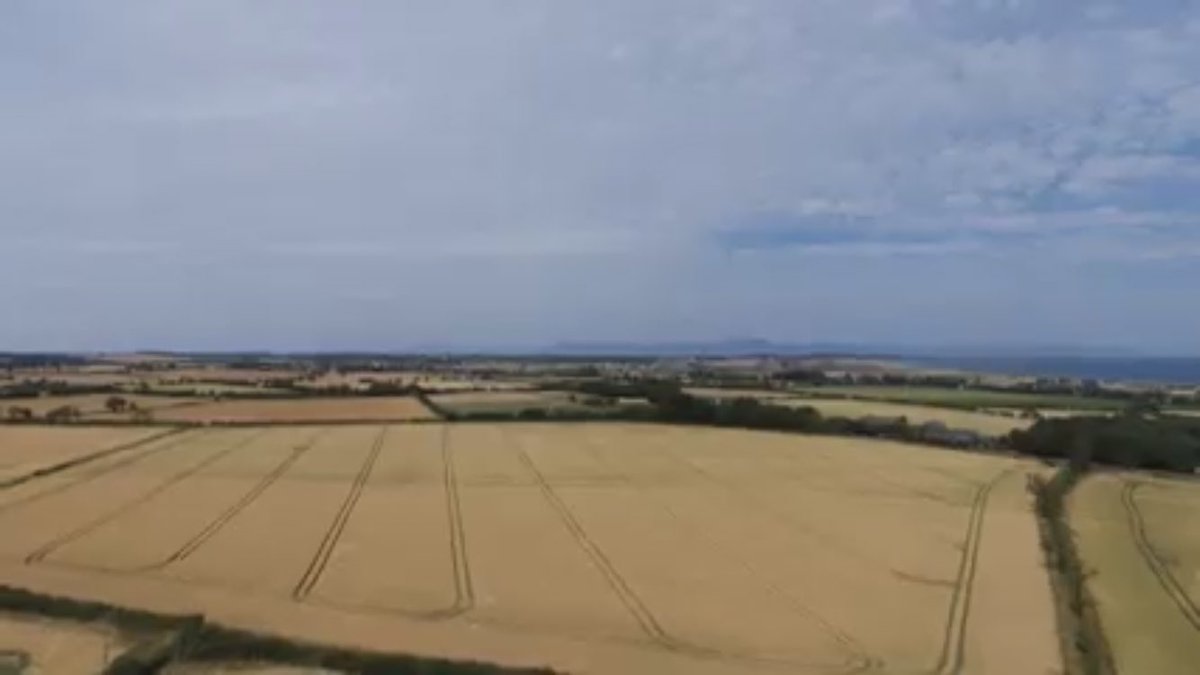 BurkeAndyburke's tweet image. N sensor seems to have worked nicely here with no lodging so far.