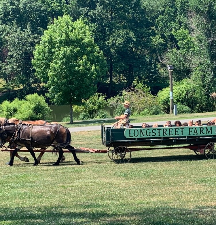 LWC Summer 2023 tweet media