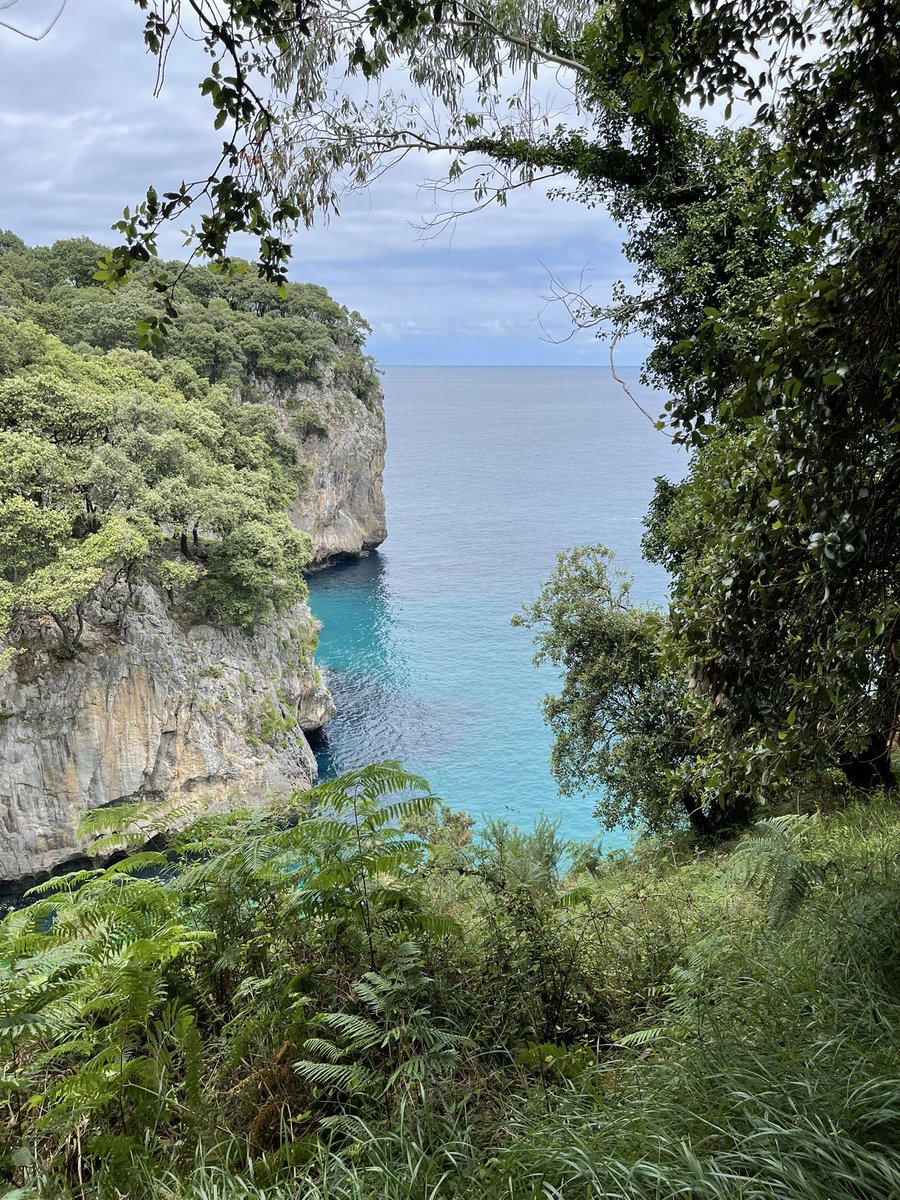 Asturias, good weather and better food. Surrounded by the Picos de Europe and the beautiful sea. What more can you ask for 😘