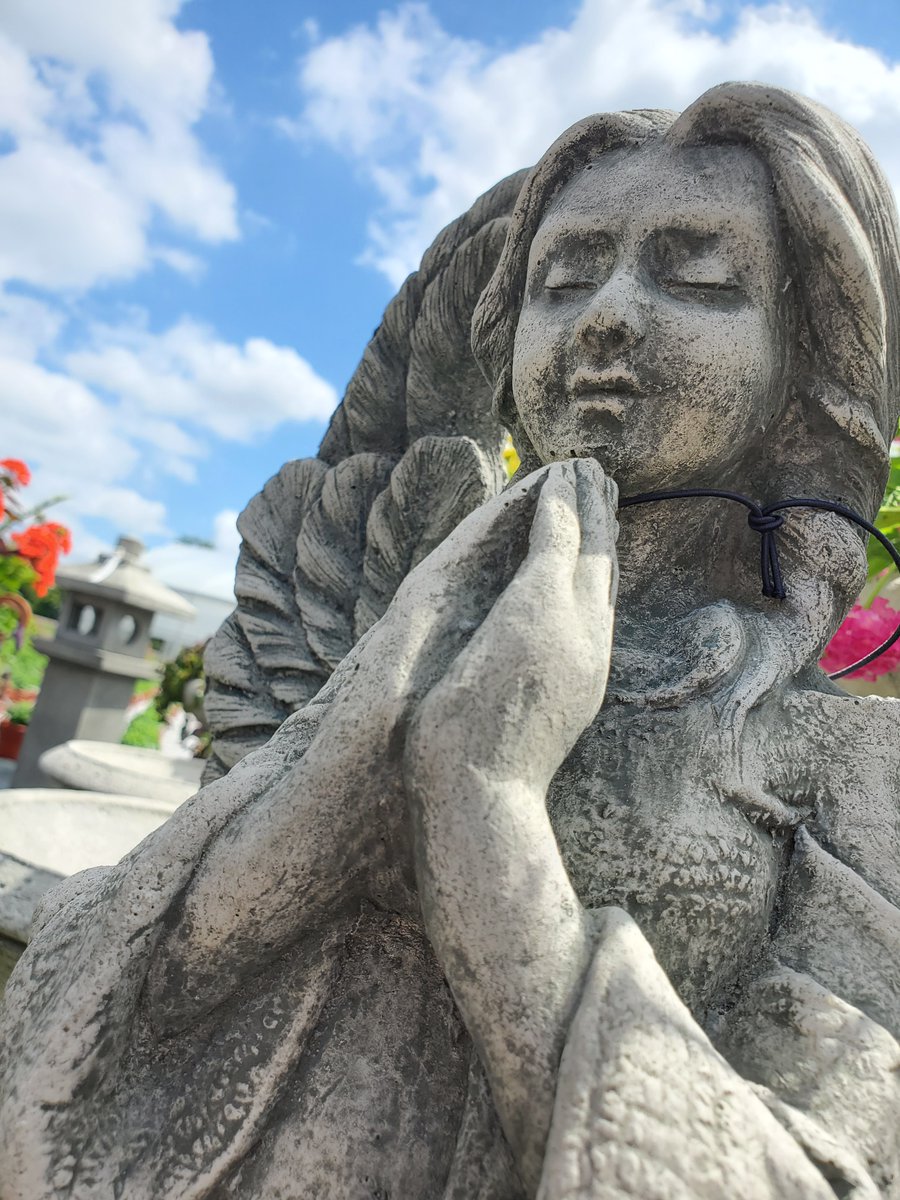 bloomingardener's tweet photo. Come on out today to see our gorgeous statuary. They make the perfect addition to any garden. We're open 7 days a week. #thebloomingardener #statuary #open7days #enhanceyourgarden #gardendecor #localgreenhouse #gardens #landscapingdecor #Campania #YQG #oldcastleontario #gardens https://t.co/0TViGxvjVs
