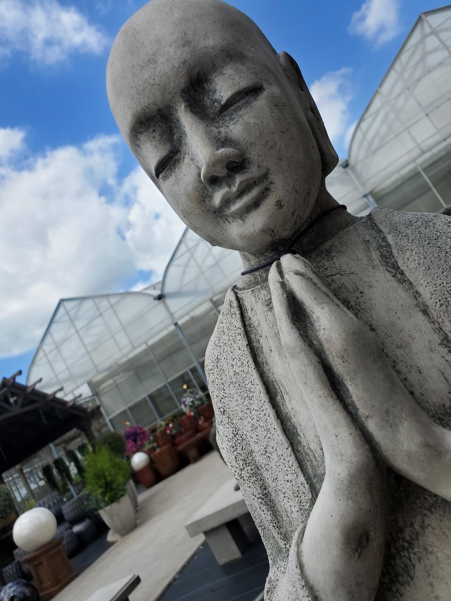 bloomingardener's tweet photo. Come on out today to see our gorgeous statuary. They make the perfect addition to any garden. We're open 7 days a week. #thebloomingardener #statuary #open7days #enhanceyourgarden #gardendecor #localgreenhouse #gardens #landscapingdecor #Campania #YQG #oldcastleontario #gardens https://t.co/0TViGxvjVs