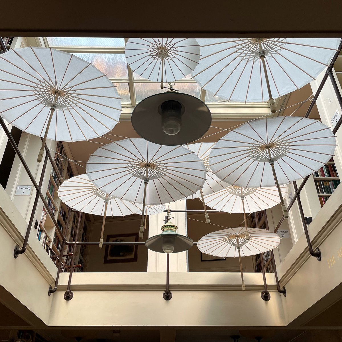 We hope everyone is staying cool and well shaded, preferably under parasols ☂️