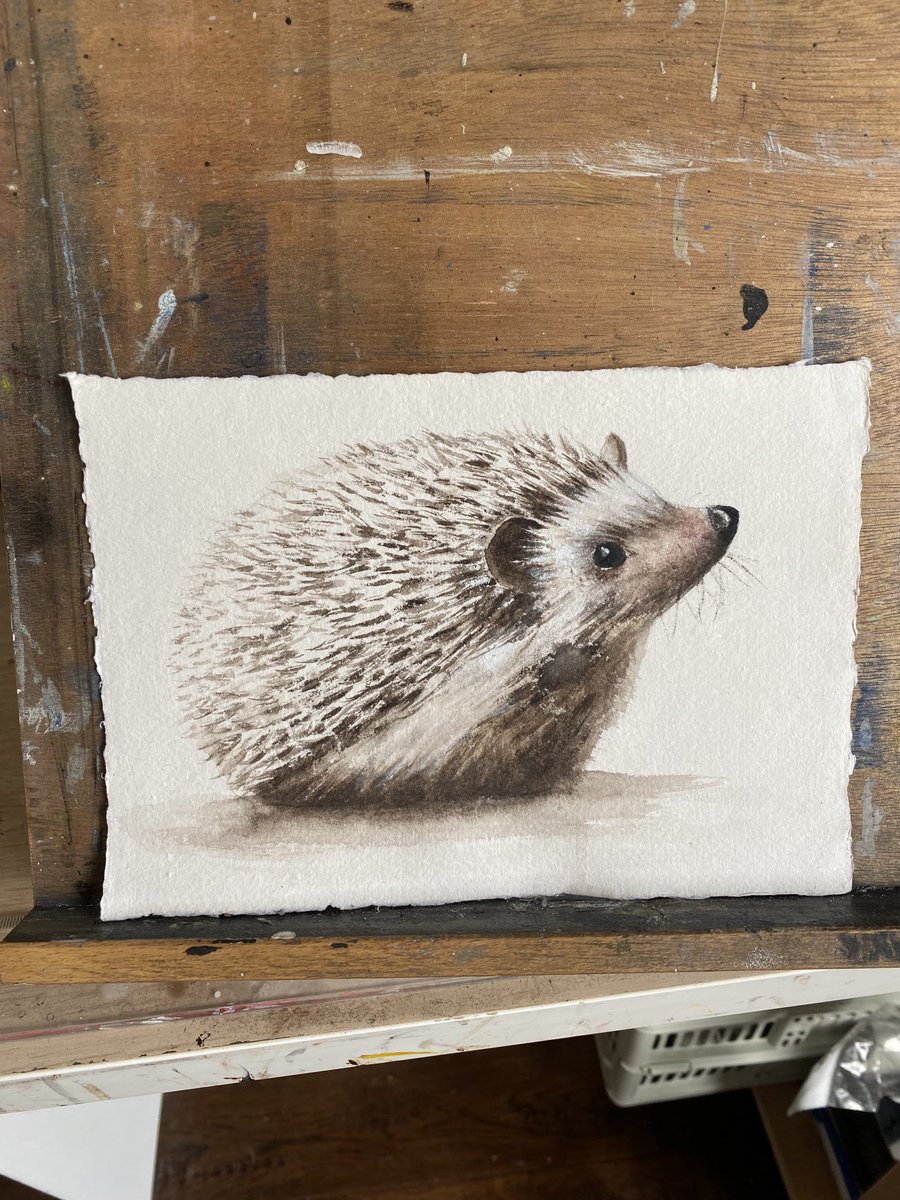 Back to #painting with a vengeance. #watercolour #hedgehog in honour of the one in my #garden. #nature #natural #wildlife #originalart #scottishartist #MHHSBD #UKCraftHour #naturalremedies #gardening