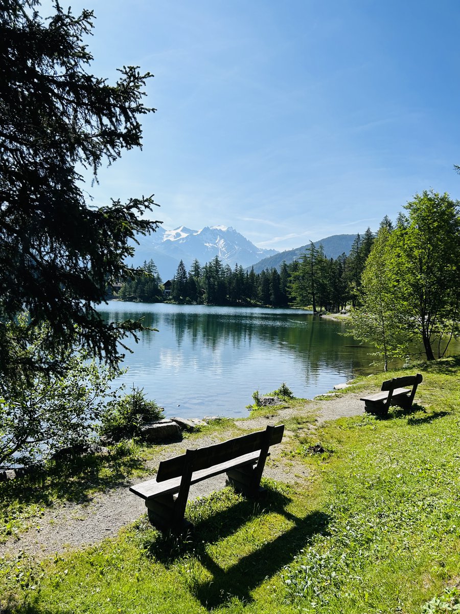Le bureau Cadence Conseils prend quelques vacances et revient aux opérations le 10 août prochain. Bel été à toutes et tous!
