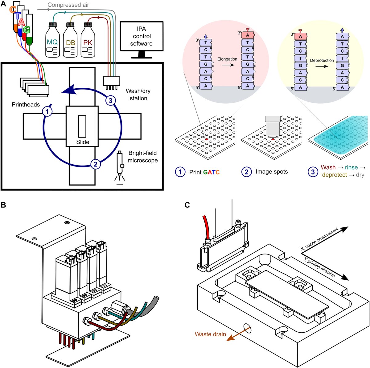 Congratulations to our advanced research group on their recent publication accepted by <a href="/ScienceMagazine/">Science Magazine</a> about the benchtop enzymatic ink jet #DNA printer.bit.ly/DNAScript-inkj…