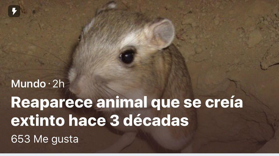 snoogatito's tweet photo. hola amigas, se olvidaron de mí, cierto?? https://t.co/C5sgS7vqJu