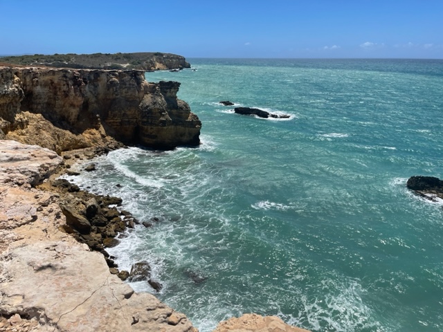 Summer hotness! Just look at this view!
A lot of new products and offers coming your way soon.
#caborojo #puertorico #huprot #autoantibodies #phipseq #research