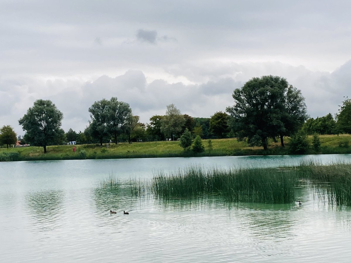 sonjaapp's tweet photo. Riemer See in #München nach dem #Gewitter heute. #Munich #RiemerSee #Bugasee #MessestadtRiem #Park #RiemerParl #Parque #Sommer #Summer #Verano https://t.co/doT7v9ymKO