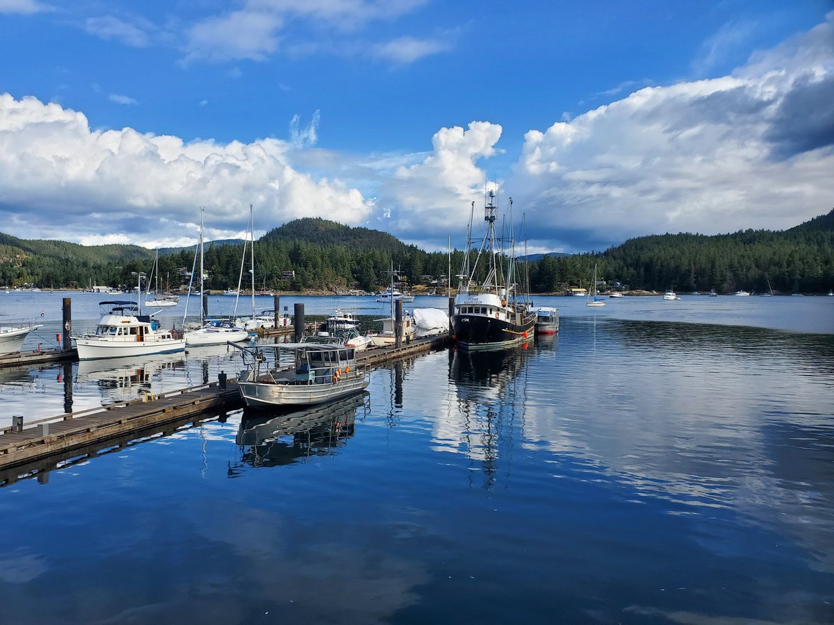 Mandoline79's tweet image. Beautiful 3km run in Pender Harbour. The air out here is amazing. #RunLife #SunshineCoast