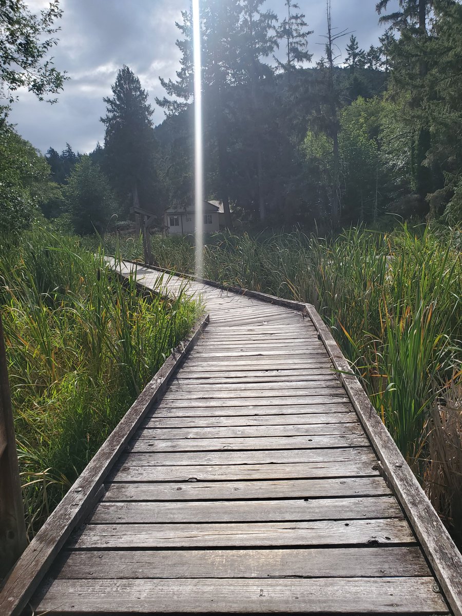 Mandoline79's tweet image. Beautiful 3km run in Pender Harbour. The air out here is amazing. #RunLife #SunshineCoast