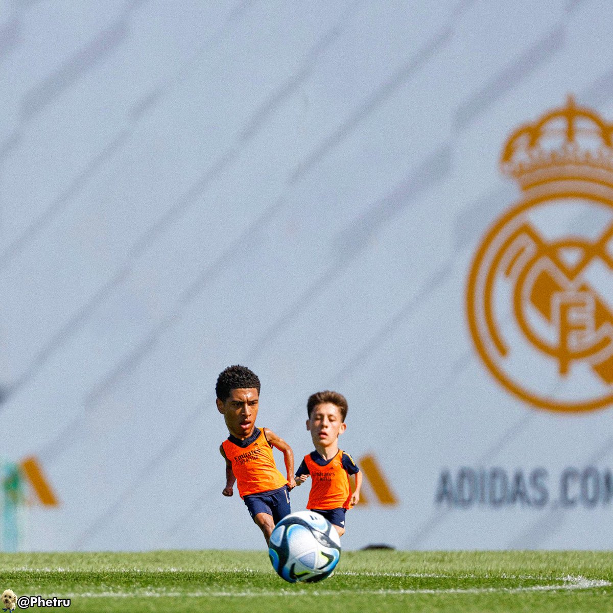AdriRM33's tweet photo. Os presento al mini Jude Bellingham y mini Arda Güler.

Da 🔁 para una temporada llena de éxitos https://t.co/kUne0NHSYf