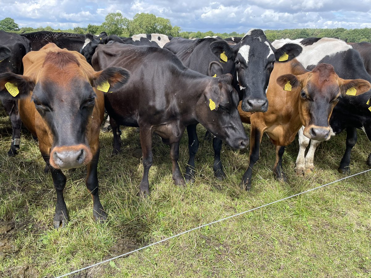 Rhian Price tweet media