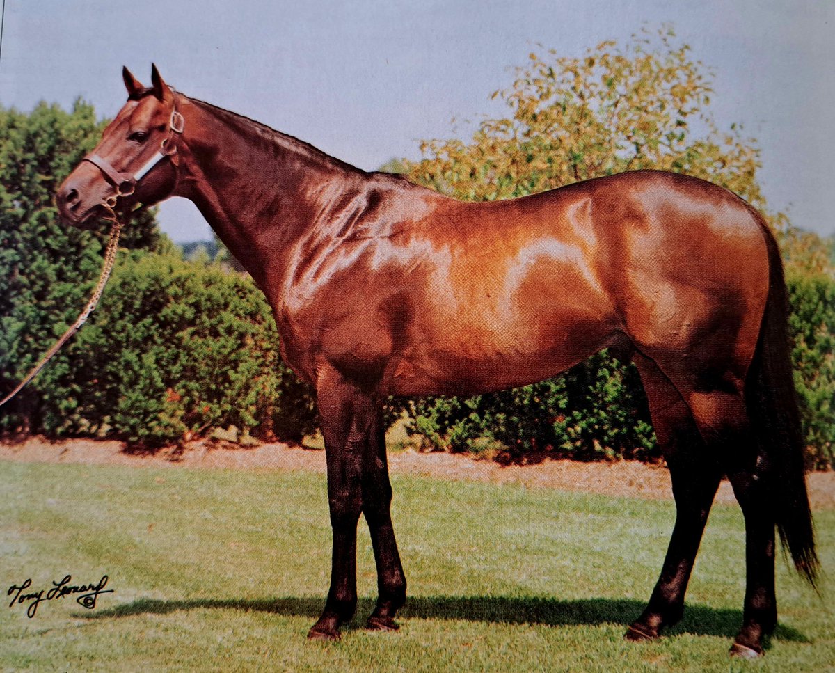 HORSERACING1002's tweet photo. SPEND A BUCK🇺🇸1982
(BUCKAROO - BELLE DE JOUR BY SPEAK JOHN)
#SpendaBuck
B/Irish Hill Farm &amp; Rowe Harper (Ky) May 15, 1982
O/ Dennis Diaz 
T/ Cam Gambolati.
PRISAL $12,500
15-10-3-2---$4,220,689
1985 Champion 🏆 3yo Colt and Horse of the year. 
Arlington Washington Futurity G1 https://t.co/wBQo0a3pPa