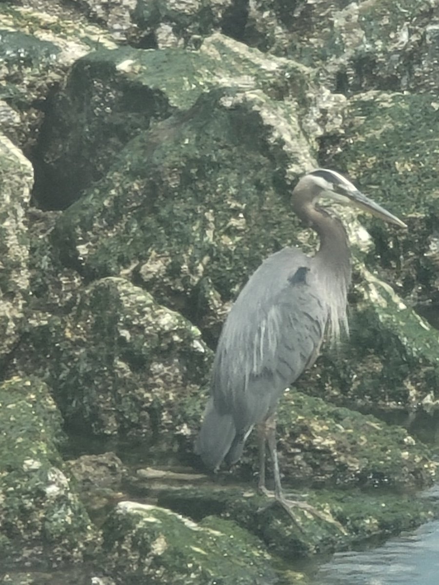 Rachmtbs (@rachmtbs) on Twitter photo 