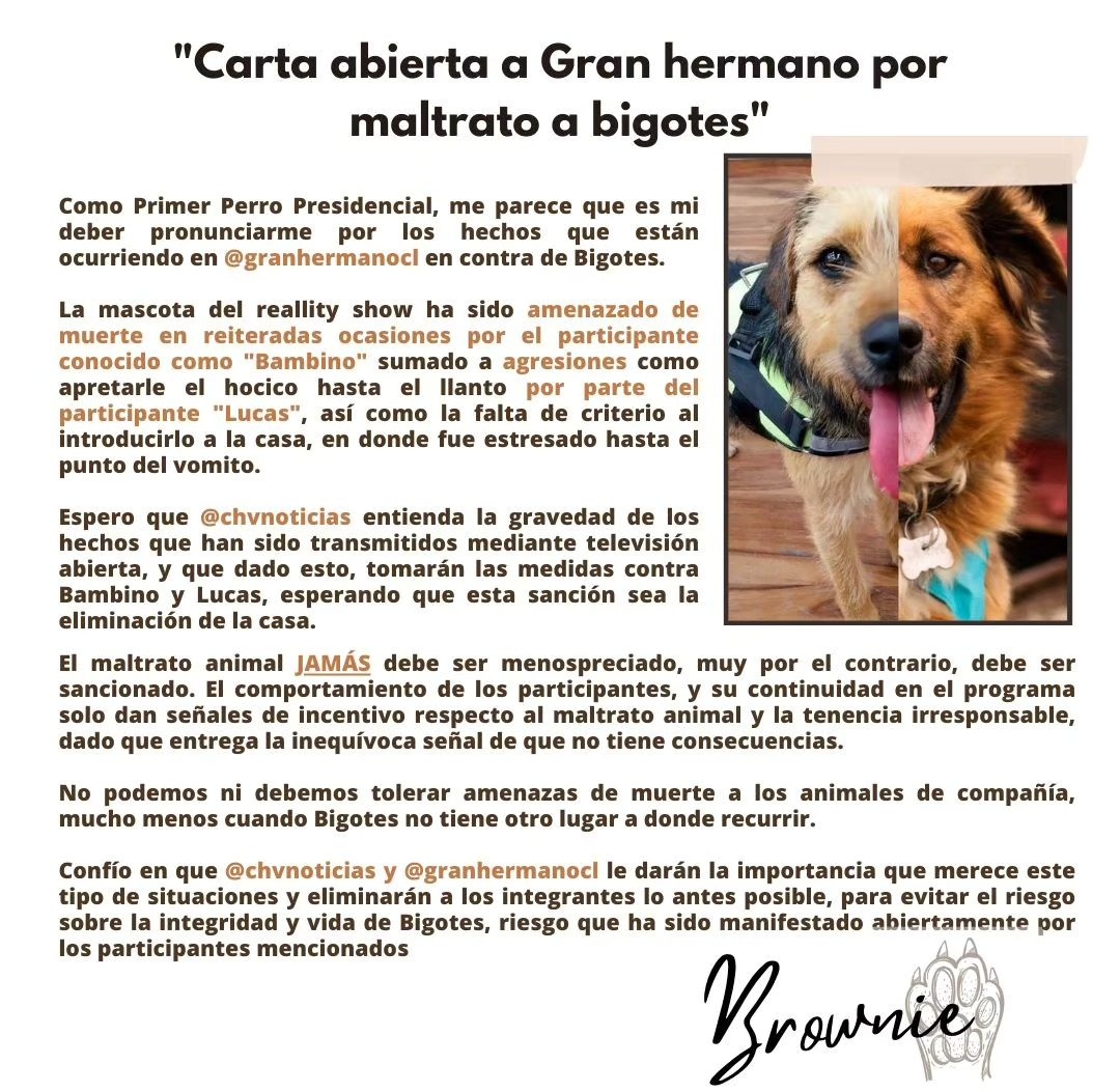 Lolein 🌱🎉 tweet media