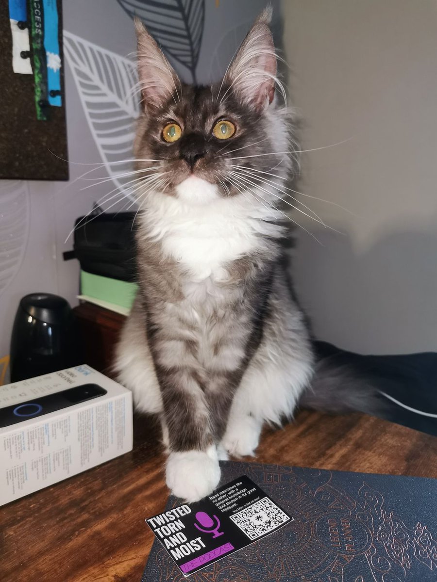 Twisted, Torn And Moist (@ttam_thepodcast) on Twitter photo Meet my manager - Princess Sassy Pants📷
She recommends you give my podcast a listen!
LISTEN HERE
<a href="/AppleMusic/">Apple Music</a> Podcasts: podcasts.apple.com/.../twisted-to…
Ask <a href="/alexa99/">Alexa | Follow @amazonalexa</a> to play"Twisted, Torn And Moist" the podcast.
<a href="/Spotify/">Spotify</a> open.spotify.com/show/1VUf2PUgw…
#podcast #FYP #viral #mainecoon #kitten Meet my manager - Princess Sassy Pants📷
She recommends you give my podcast a listen!
LISTEN HERE
<a href="/AppleMusic/">Apple Music</a> Podcasts: podcasts.apple.com/.../twisted-to…
Ask <a href="/alexa99/">Alexa | Follow @amazonalexa</a> to play"Twisted, Torn And Moist" the podcast.
<a href="/Spotify/">Spotify</a> open.spotify.com/show/1VUf2PUgw…
#podcast #FYP #viral #mainecoon #kitten