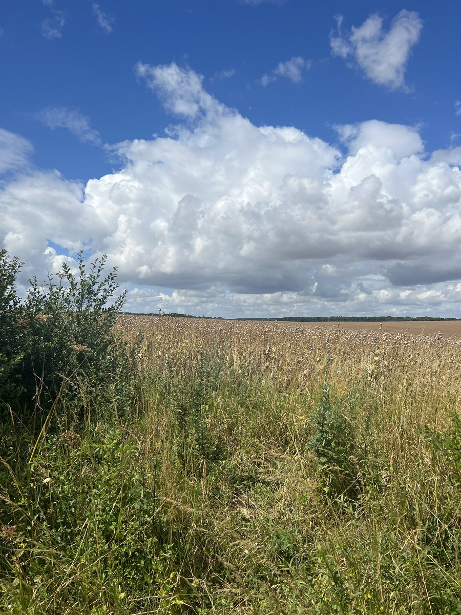 Wonderful walk with my baby brother in the Lincolnshire countryside. Sunshine and thunder and lightening, made for an invigorating day.#solotraveller #retirementrebel #family #walking #countryside #positiveageing #agewell #healthyageing