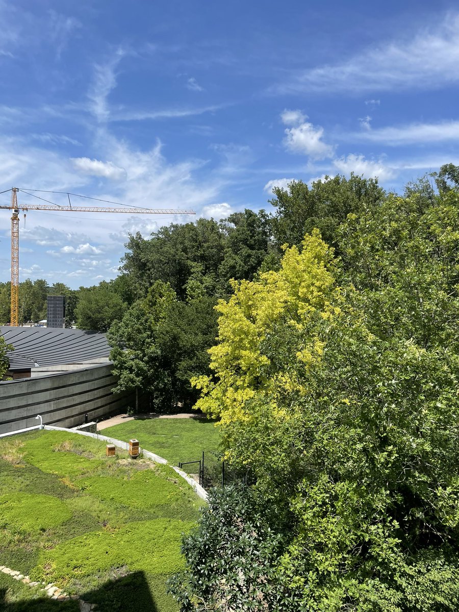 Mrs. Fischer, M.Ed. tweet media