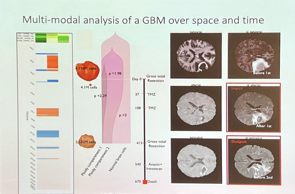 Jumping between sessions! now it’s our very own <a href="/EinsteinCross/">Noemi Andor</a> presenting, Modeling competition between subpopulations with variable DNA content in resource limited microenvironments <a href="/mathonco/">IMO</a> #mathonco #SMB2023 <a href="/MoffittNews/">Moffitt Cancer Center</a>