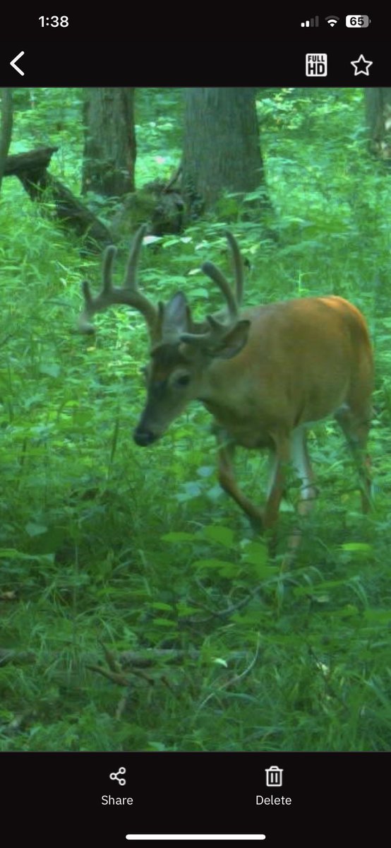 lostriverjones's tweet image. Target 2023. #spypoint