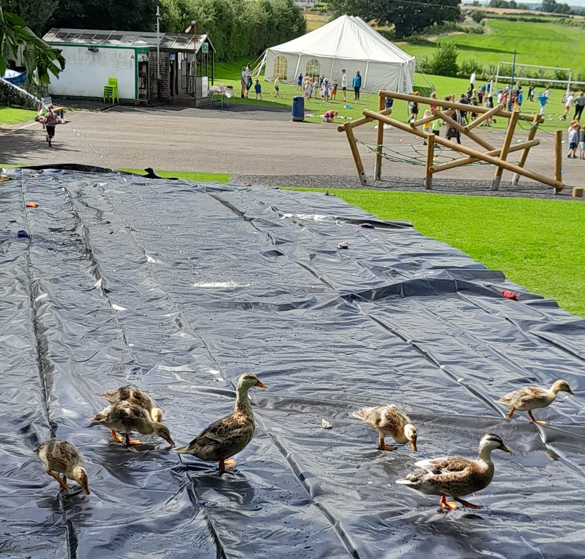 Our amazing RotaKids organised a day of fantastic watery fun for all - whilst fundraising for <a href="/GNairambulance/">Great North Air Ambulance</a> - and guess who couldn't resist joining in? 😆😍 #Cumbria #Fundraising #Ducks #TeamHayton