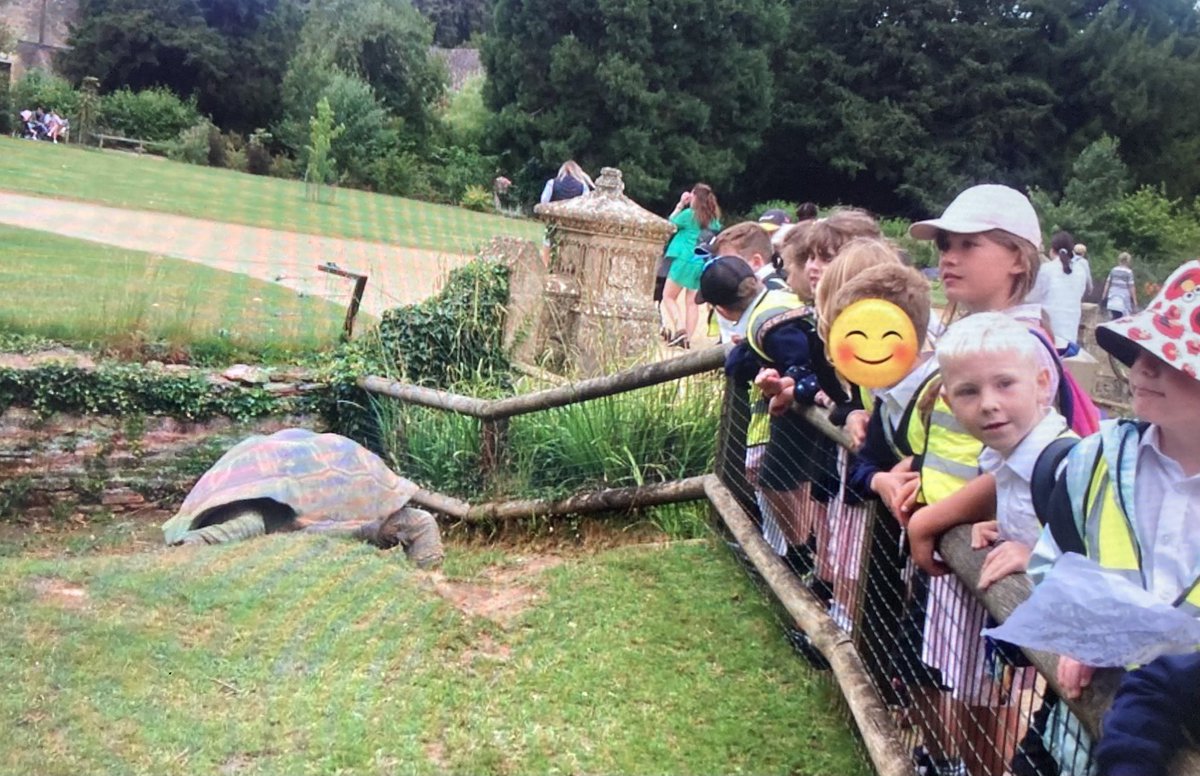 SPMVPine's tweet photo. Some belated photos of our brilliant Cotswold Wildlife Park trip last week 🦁 🦓 🐊 It was such a great day learning about the rainforest and other incredible animals from around the world! https://t.co/6Q2frkX9jD