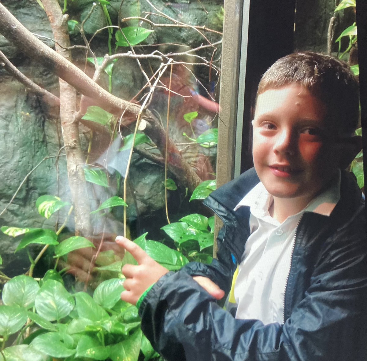 SPMVPine's tweet photo. Some belated photos of our brilliant Cotswold Wildlife Park trip last week 🦁 🦓 🐊 It was such a great day learning about the rainforest and other incredible animals from around the world! https://t.co/6Q2frkX9jD