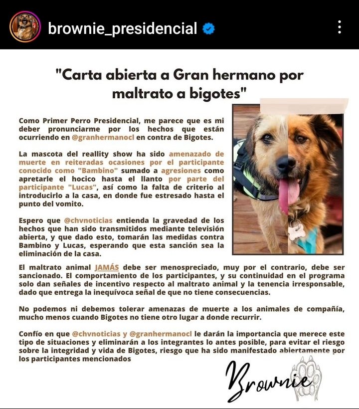 istjin's tweet photo. bambino: la estamos rompiendo afuera 
*el perro del presidente lo funa* XDDDD 
#GranhermanoCHV https://t.co/5LFx7wsjop