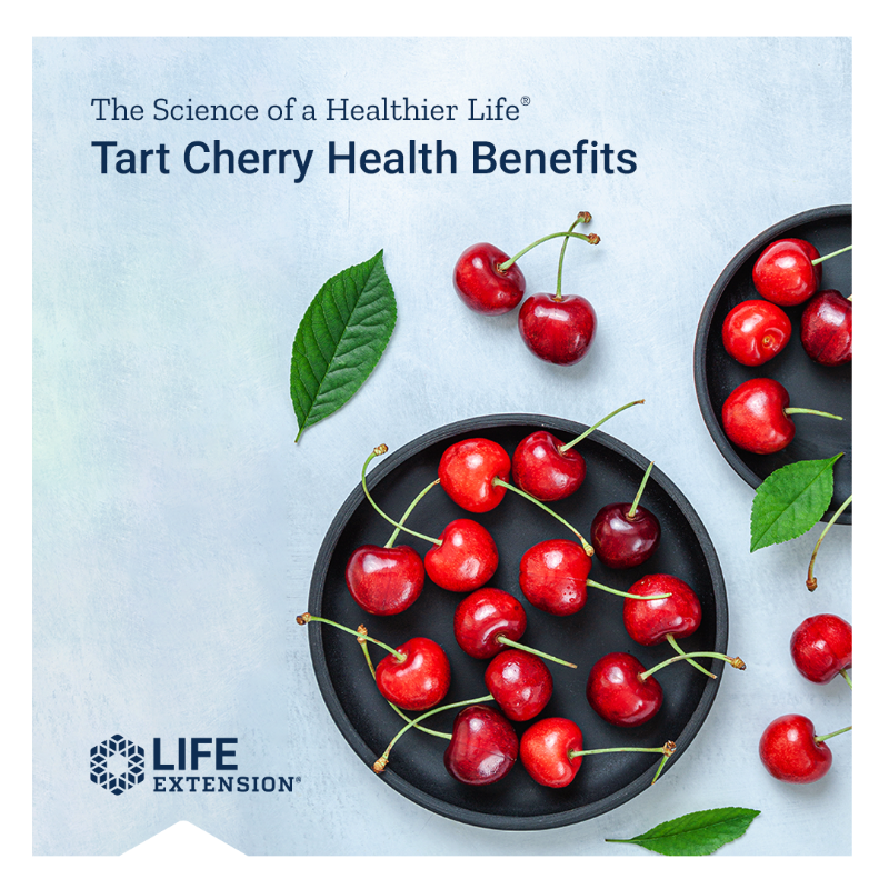 LifeExtension's tweet photo. #Tartcherries have been widely used to boost #recovery and performance for athletes. Studies show they can also benefit #brainfunction, reduce #gout and more! 🍒 #cherries #exercise #exerciserecovery #fitness #wellness #longevity #health