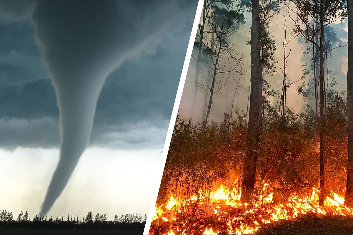 11 of the Biggest Weather Disasters in #Minnesota Throughout the Years https://t.co/AxvJIX9ABs https://t.co/zUsKuA4LoD