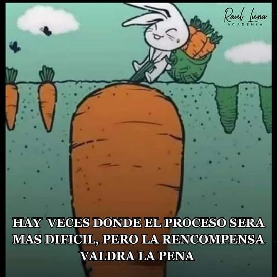 AngieXpi's tweet photo. Que lindo https://t.co/x1z2cwJhD8