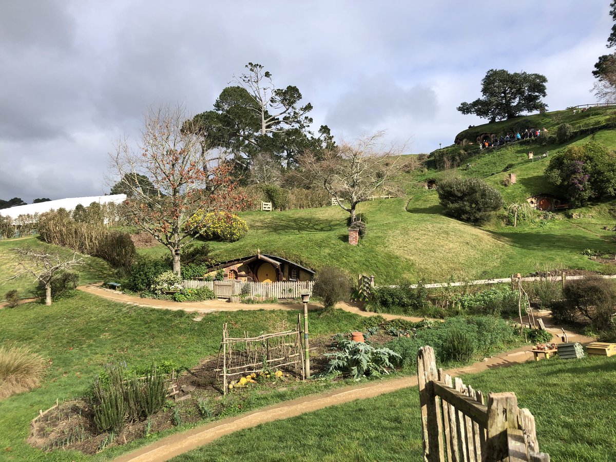 Michelle Rheault tweet media