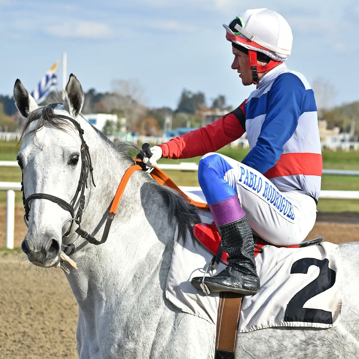 turf_uruguayo's tweet photo. #SaltandoCharcos 🥇
Fue el vencedor en el Preferencial "Jura De La Constitución" sobre 1800M en el circuito canario.
El credito del #StudYerbal superó por 3cps y ¼ a #RovMine en un crono de 1.53'14.
Un nuevo destaque para el binomio P.Rodriguez - PG.Gonzalez .
INTRATABLES 🔥🏇🏽 https://t.co/I5p1ziTo06