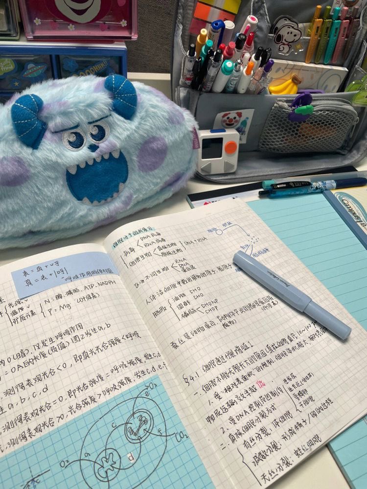 kiraspiderr's tweet image. 🛒 achadinhos da shopee e shein pra organizar seu cantinho de estudos - a thread;

#study #studytwt #studytwtbr