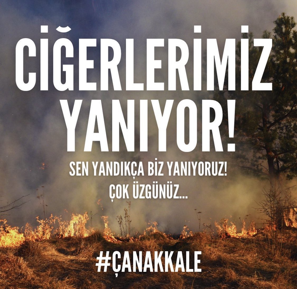 Perşembe ye kadar rüzgar var çok daha fazla desteğe ihtiyacımız var !!!! #canakkaleyanıyor