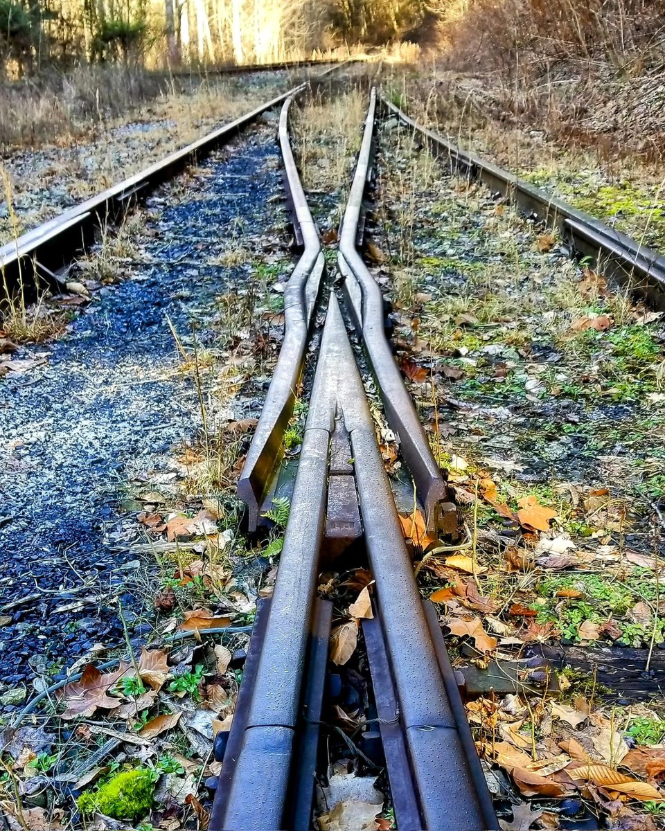 KeriButcher's tweet image. Tracked...
#tracks #railroad #railroadtracks #Travel #coalcar #outdoors #PhotographyIsArt #photography #photographer #Tennessee #freelancer #freelancers #freelance #photographers